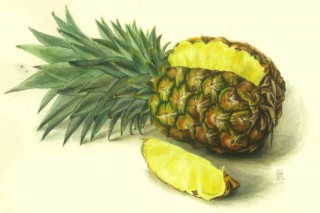 Ananas Aquarell