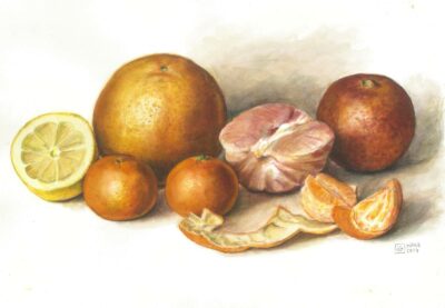 Aquarell: Citrus fruits